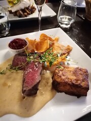 Gourmet Italian food with wine 