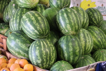 watermelons and melons
