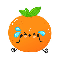 Cute sad and crying mandarin character. Vector hand drawn cartoon kawaii character illustration icon. Isolated on white background. Mandarin character concept