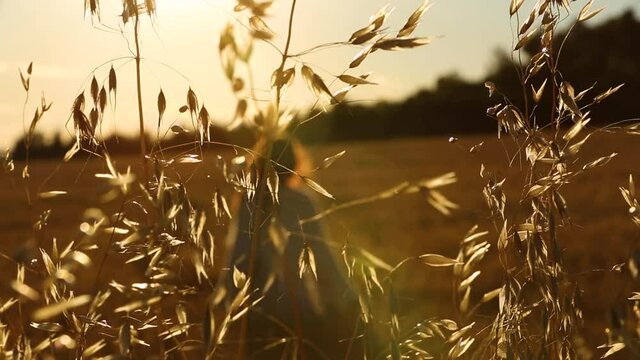 Young woman among summer cereal fields in Igualada, Barcelona, Spain