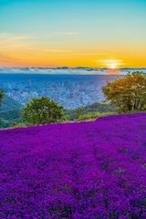 Tuinposter Hokkaido Sapporo Asahi Lavendel Zee van Wolken Stadsgezicht © 翔 馬渕