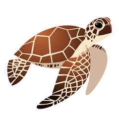 cute sea turtle cartoon drawing, illustration on a white background.