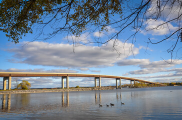 Bridge over the river with branches of trees