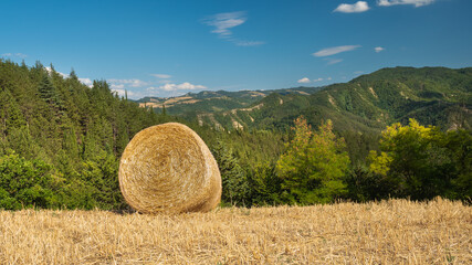 Apennines, mountain panorama seen from the top of Sant Ellero located near the small Italian town of Galeata.