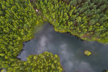 Aerial view of a forest lake with small island.
