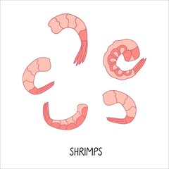 Set of seafood illustrations. Pink shrimps doodle illustration isolated on a white background. Delicious seafood. Perfect for menu decoration