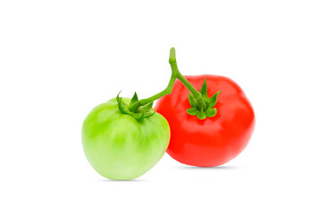 two green and red tomatoes on a white background, tomato isolate