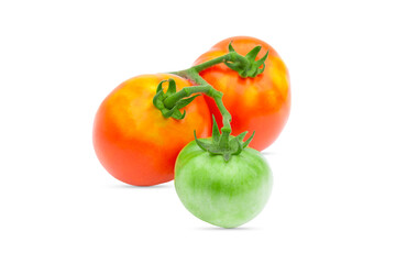 two red tomatoes and one green on a white background, tomato isolate on a twig