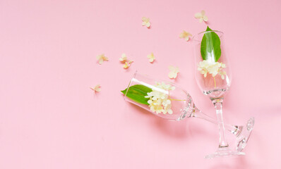 Two glasses with white flowers inside on a pink background