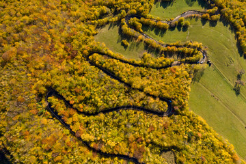 Aerial above view of autumn forest winding road
