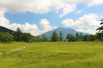 Fototapeta na wymiar 真夏の尾瀬沼と燧ケ岳 Oze in summer