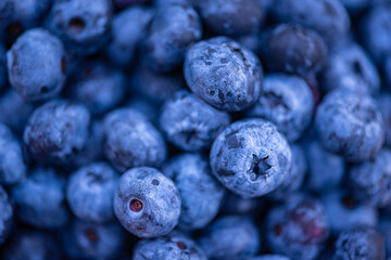Fresh Bilberries. Close-up background. Soft focus. Shallow DOF.