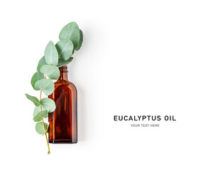 Eucalyptus aromatherapy essential oil in bottle and leaves
