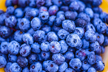 Freshly picked blueberries. Healthy food, vitamins. Summer food