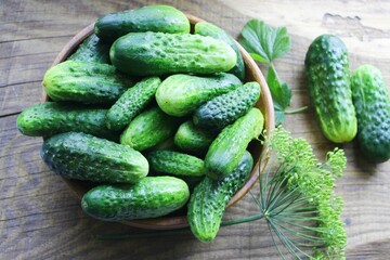 Fresh cucumbers on a wooden table. Dill, garlic and spices. Preparation of pickled cucumbers. preservation of fresh homemade cucumbers. Selective focus. nature