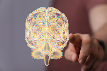 Human brain Anatomical Model 3d