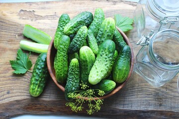 Fresh cucumbers on a wooden table. Dill, garlic and spices. Preparation of pickled cucumbers. preservation of fresh homemade cucumbers. Selective focus. nature