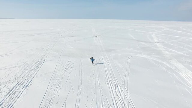 Aerial: Sprinter in harness with sled dog