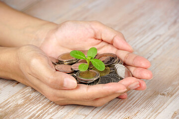 Businessman holding plant sprouting from a handful of coins, finance concept, business background. A woman's hand is holding a sapling from a handful of coins. and selective focus.	