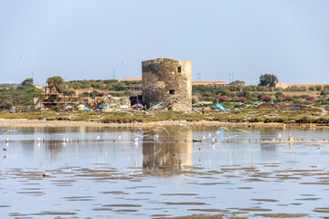 Tonnara Saline beach and pond with various birds flying at Stintino. Sardinia, Sassari, Italy, Europe