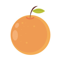 orange fruit citrus
