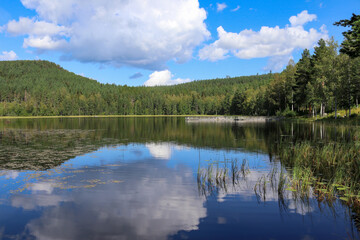 Fototapeta na wymiar Lake Kramstatjärn in the forest, Järvsö