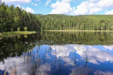Lake Kramstatjärn in the forest, Järvsö