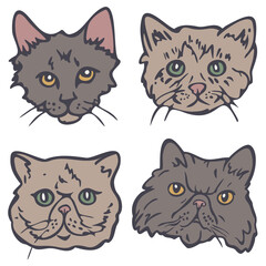 Vector illustration set of cats faces. Cute cats portraits.