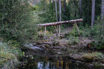 Funny trunk over the ground as a worm