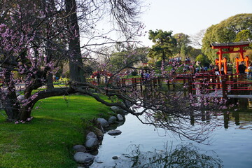 Tranquility on the shore of the lake