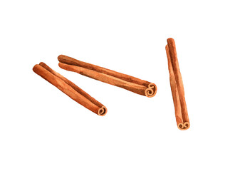 Watercolor cinnamon illustration. Hand drawn dried sticks isolated on white background. Spices and Seasonings. Herbal medicine and aroma therapy