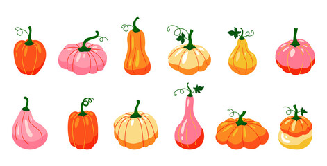 Pumpkins. Cartoon autumn vegetables, farm organic product, colourful bright collection. Vector isolated set