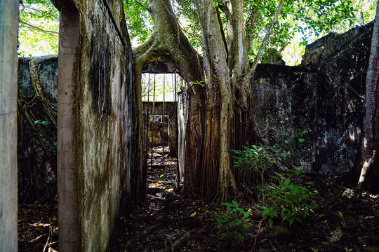 VIVIENDA, SELVAS, RUINAS,  MONTA&Ntilde;AS, COLO MBIA, ARMERO,PUEBLO,ABANDONADO,COLOMBIA
