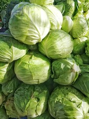 cabbage in the market