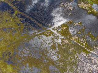 Farm flooded by water from the Doce River, due to the collapse of the Fundão dam in Mariana, Minas Gerais. Shrimp breeding tanks hit by flooding.
