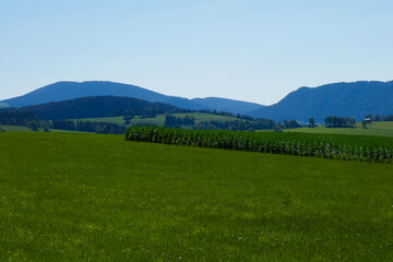 Landscape, beautiful Alps mountains in Austria.
