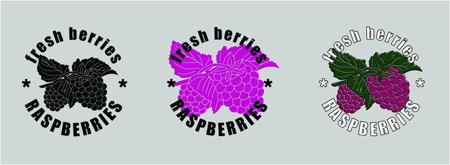 Logo for a farm, organic company or product. Veсtor. Three options on a gray background. you can change the color.