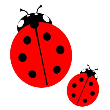 Classic ladybugs ladybirds insects clipart