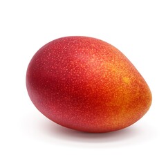 マンゴー イラスト リアル 果実