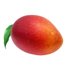 マンゴー イラスト リアル 宮崎