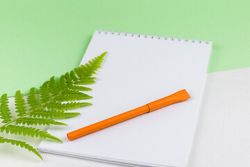 Eco concept notepad, eco-friendly paper pen and green leaf
