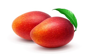 マンゴー イラスト リアル セット