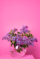 A bouquet of lilacs in a vase on a pink background . Postcard flowers on a pink background . Spring flowers. Nicely. Copy space. Pink. . Postcard flowers on a pink background