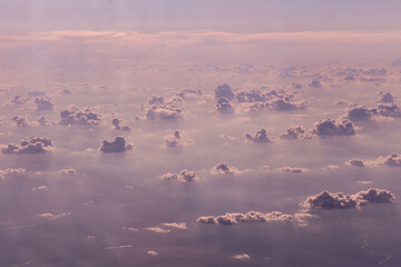 flock of birds flying over the fog