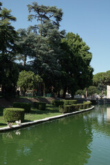 Giardino con acqua oche sulla riva
