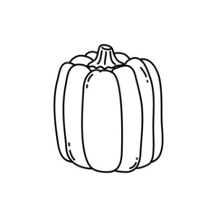 Linear Pumpkin illustration. Outline Doodle style. Pumpkin - a symbol of Halloween, Fall, and Thanksgiving Day. Squash silhouette isolated on white background. Vector. For menu, farmers markets, print