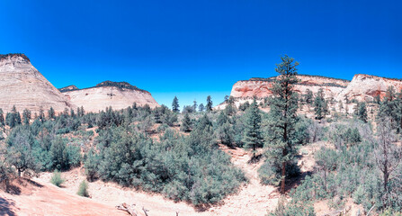 Fototapeta na wymiar Zion National Park in summer season - Panoramic view