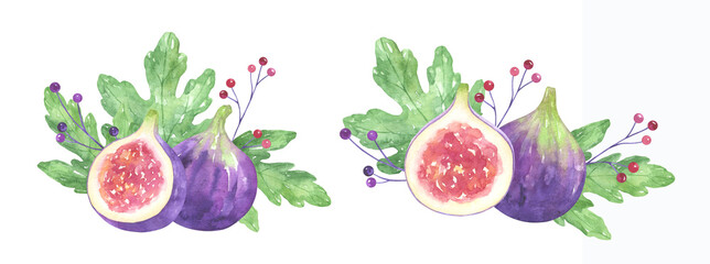 Fig Compositions Watercolor Set