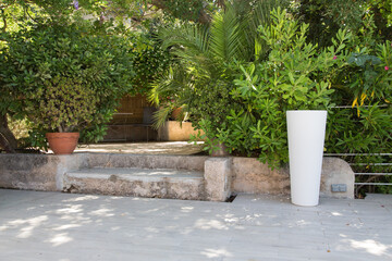 Mediterranean garden or terrace design and landscaping in France: A virgin stone stairway and wall...