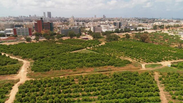 Aerial photograph of orchards Farm and fields near the city of Ashdod